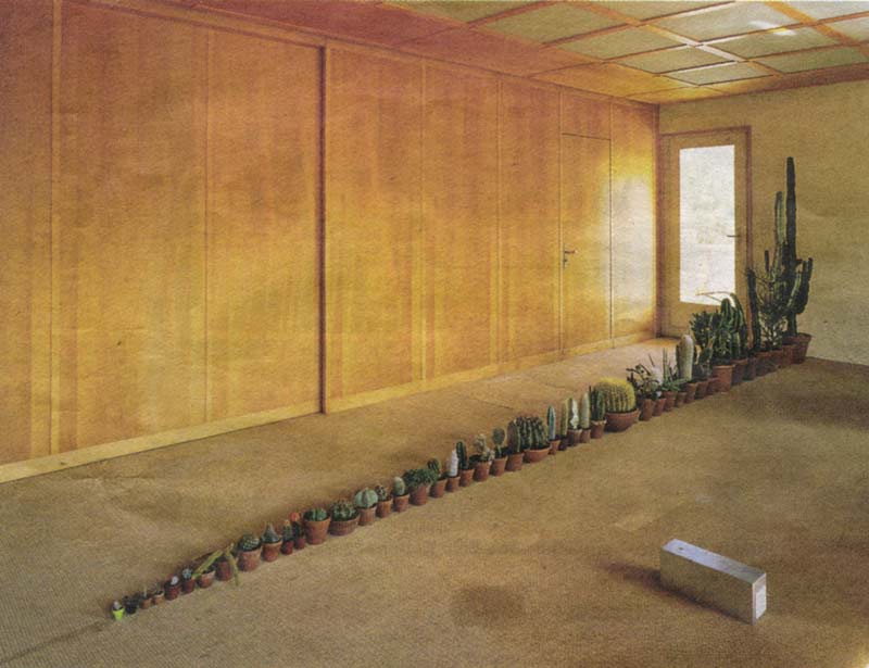 Martin Creed - Cactus Plants
